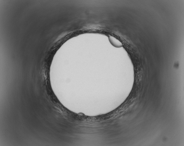 X0000116861206201001191654