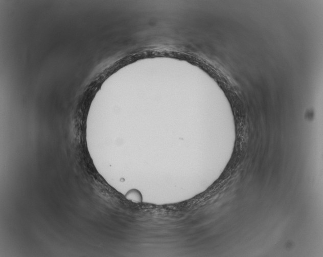 X0000116861207201001191654