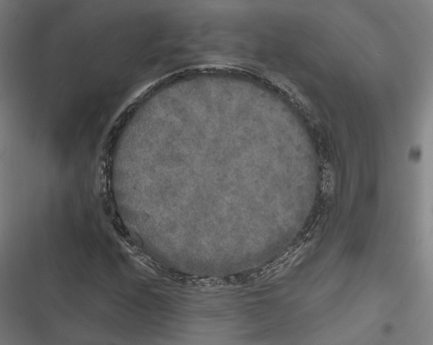 X0000116861208201001191654