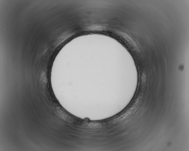 X0000116861209201001191654