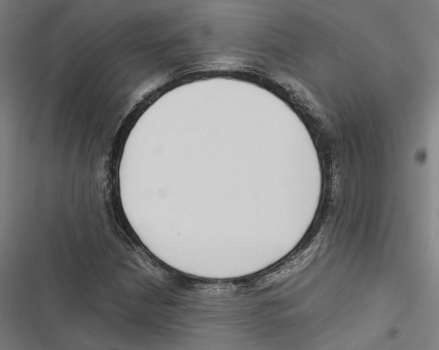 X0000116861210201001191654