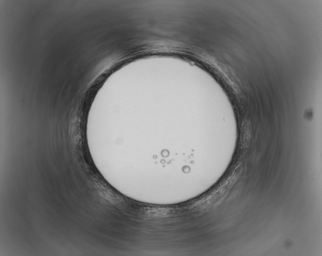 X0000116861211201001191654