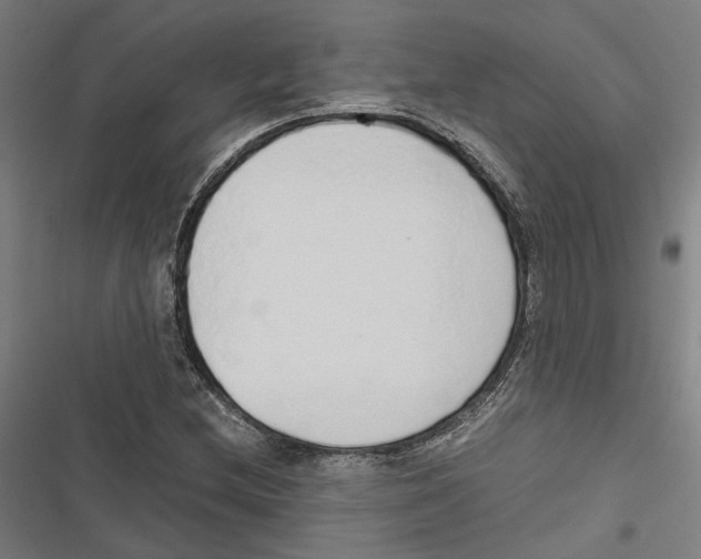 X0000116861212201001191654