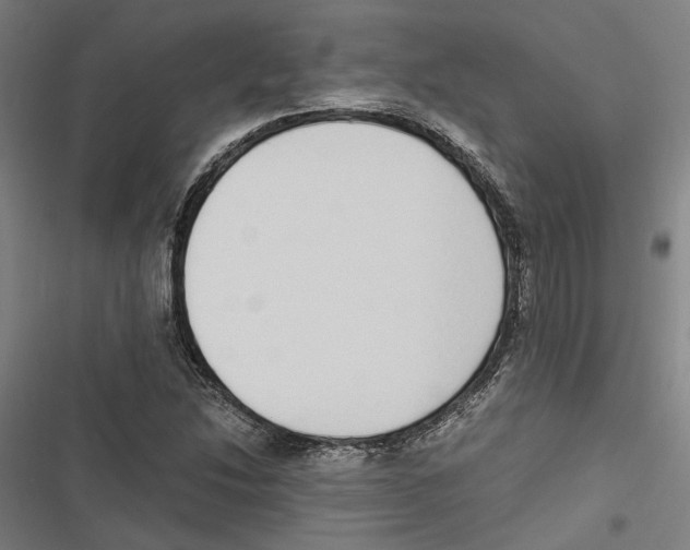 X0000116861214201001191654