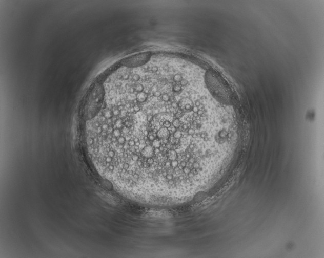 X0000116861215201001191654