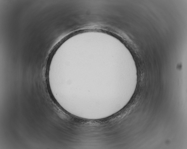 X0000116861216201001191654