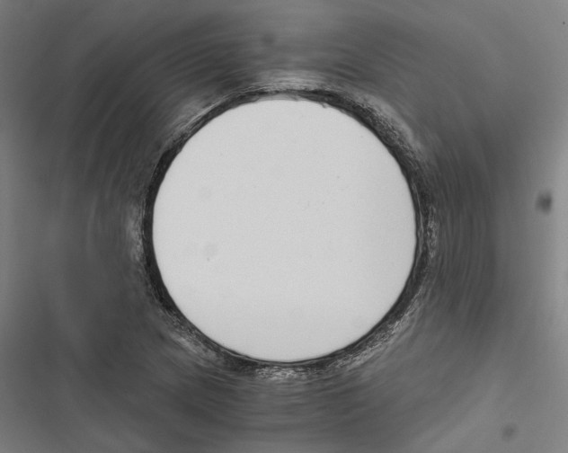 X0000116861217201001191654