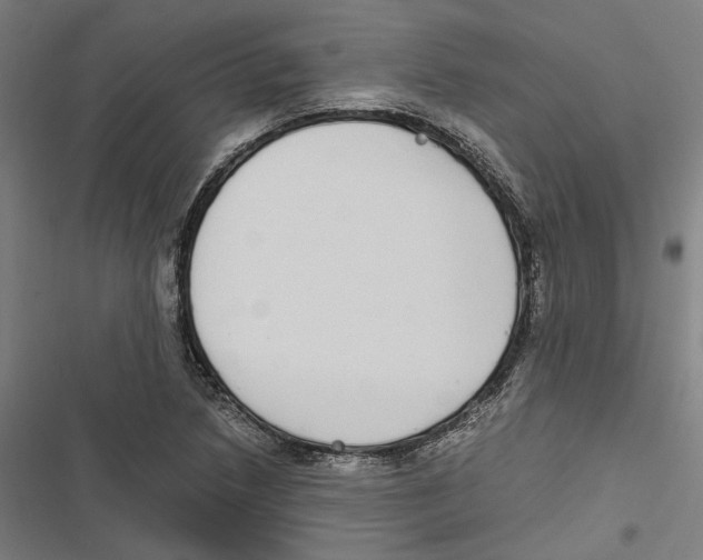 X0000116861218201001191654