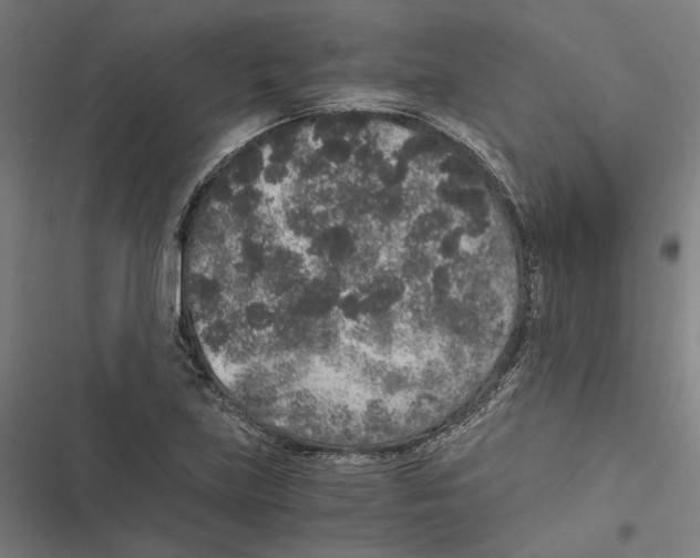 X0000116861219201001191654