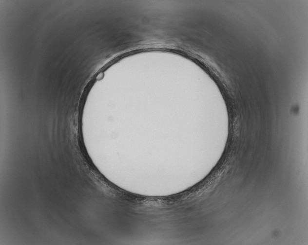 X0000116861220201001191654