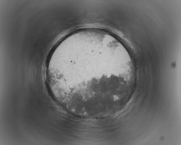 X0000116861221201001191654