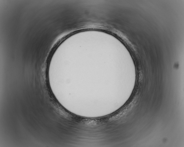 X0000116861222201001191654