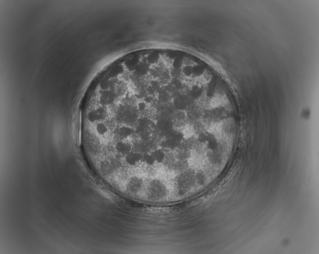 X0000116861223201001191654