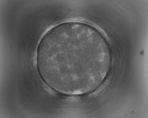 X0000116861224201001191654