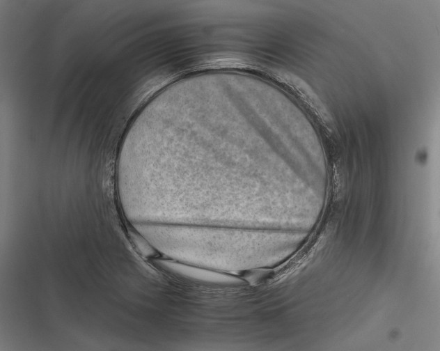 X0000116861225201001191654