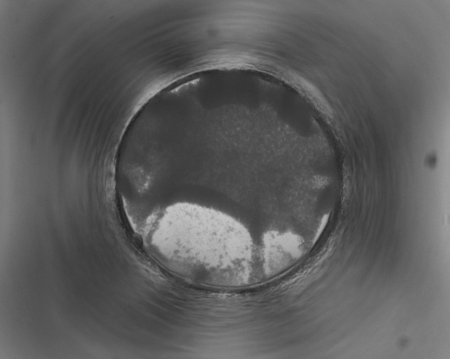 X0000116861226201001191654