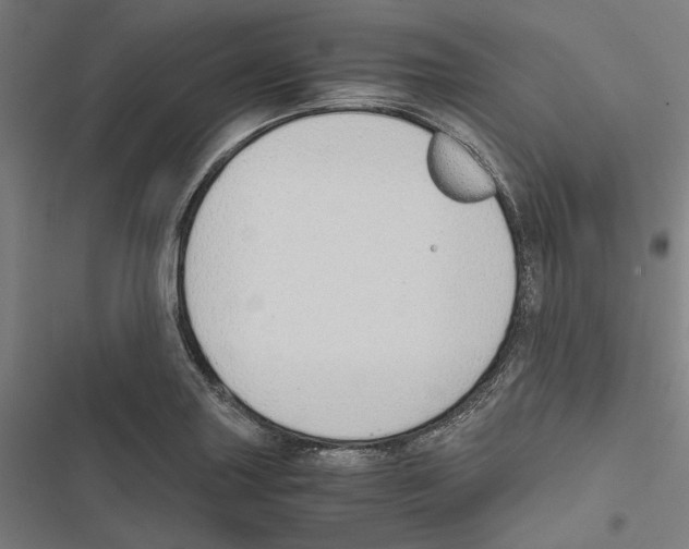 X0000116861227201001191654