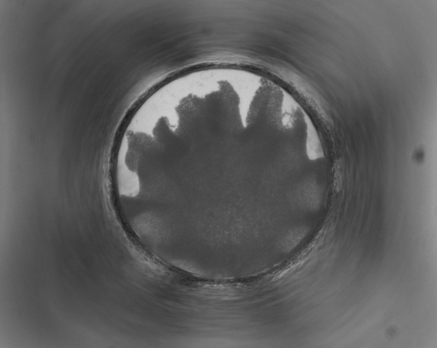 X0000116861229201001191654