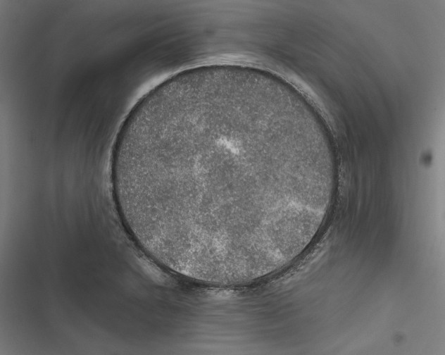 X0000116861230201001191654