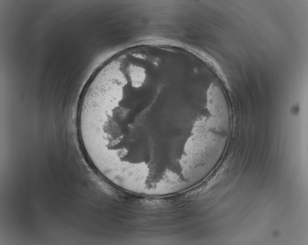 X0000116861231201001191654