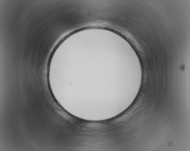 X0000116861232201001191654