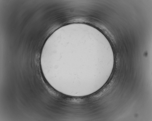 X0000116861233201001191654