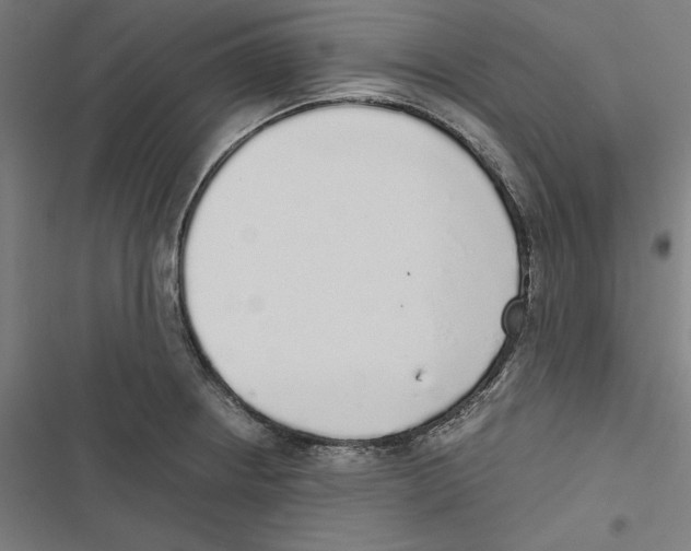 X0000116861234201001191654