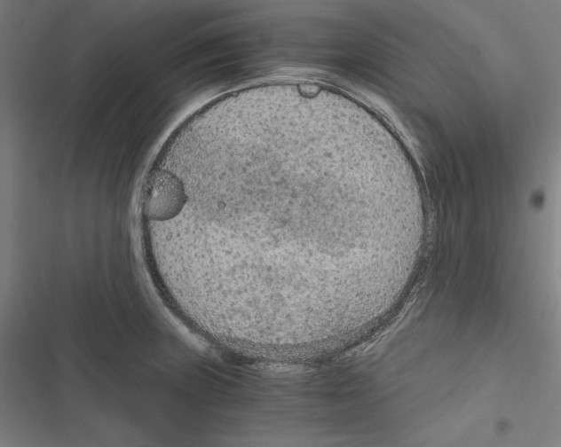 X0000116861235201001191654