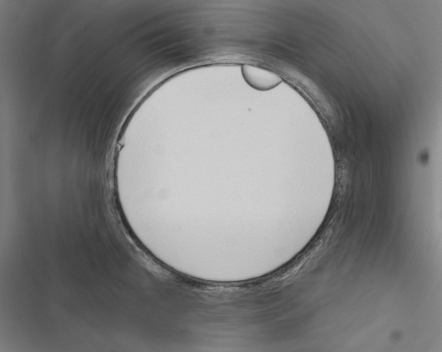 X0000116861236201001191654