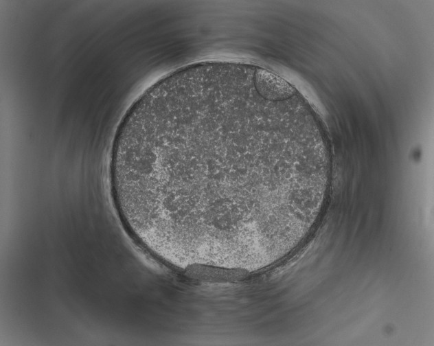 X0000116861237201001191654