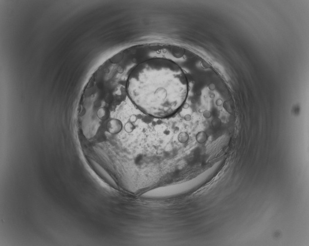 X0000116861239201001191655