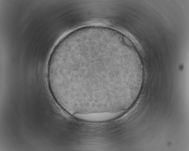 X0000116861240201001191655