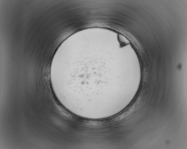 X0000116861241201001191655