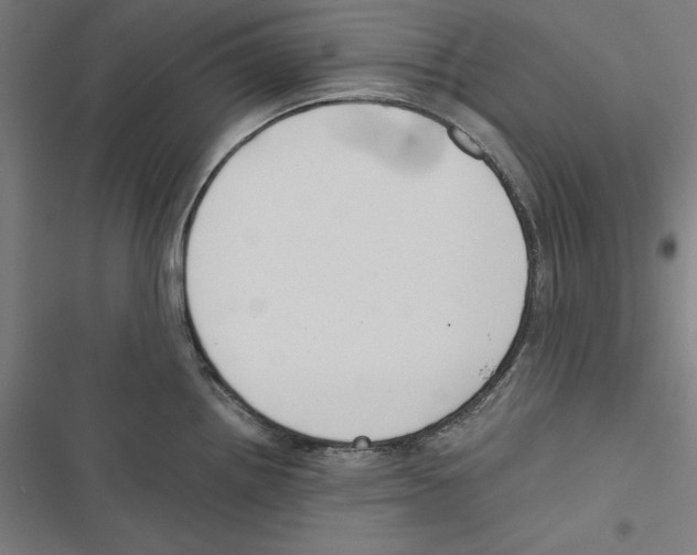 X0000116861242201001191655