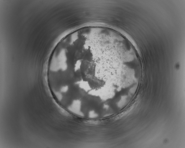 X0000116861245201001191655