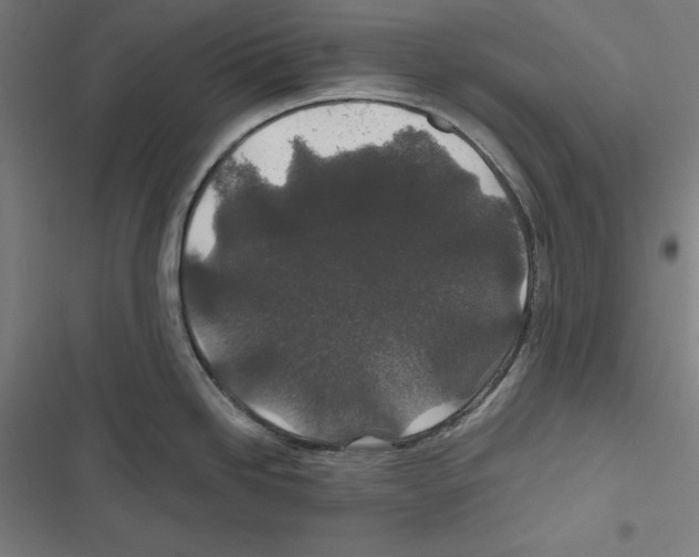 X0000116861246201001191655