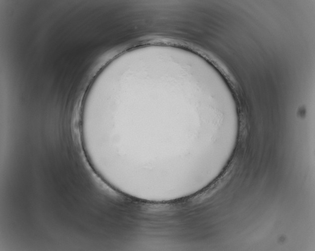 X0000116861247201001191655