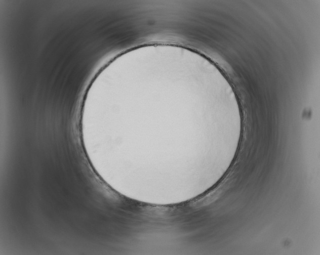 X0000116861248201001191655