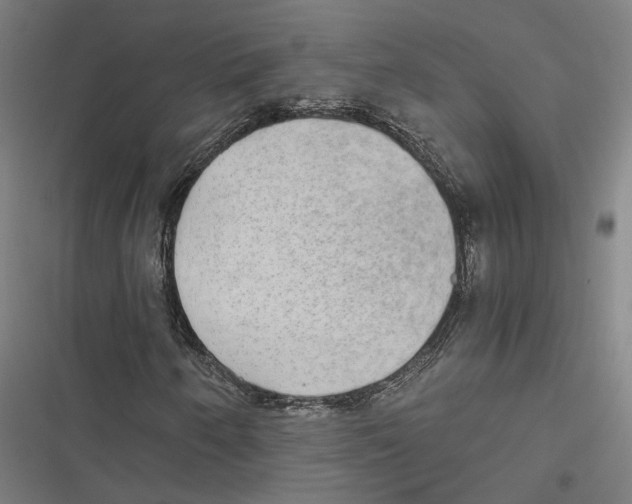 X0000116861250201001191654