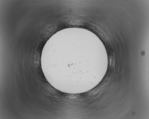 X0000116861251201001191654