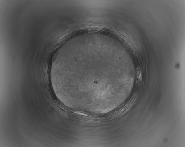 X0000116861252201001191654