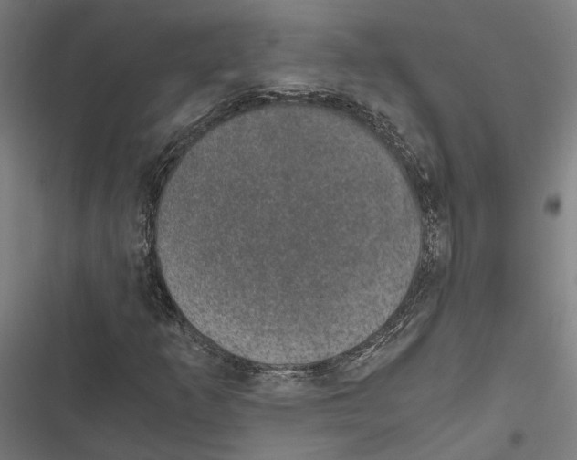 X0000116861253201001191654