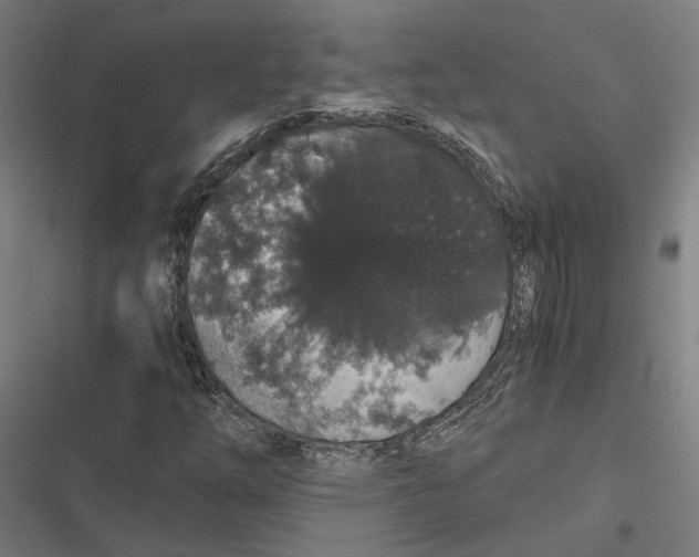 X0000116861254201001191654