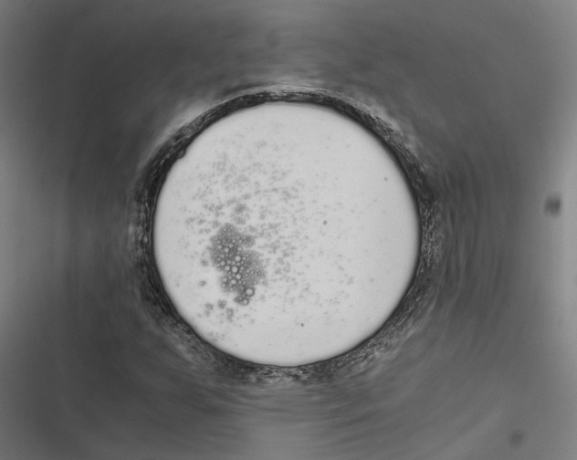 X0000116861255201001191654