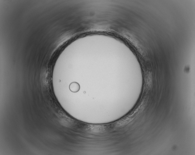 X0000116861258201001191654