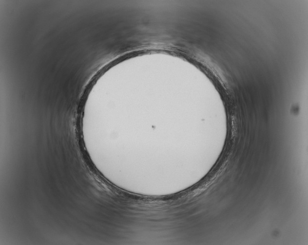 X0000116861260201001191654