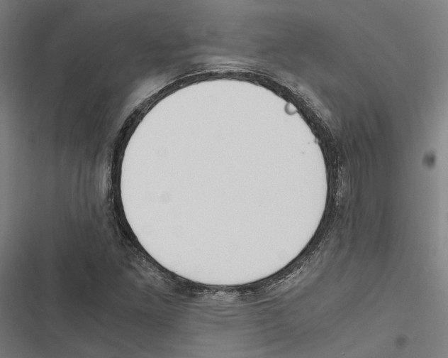 X0000116861261201001191654