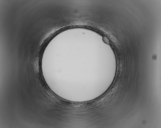 X0000116861262201001191654