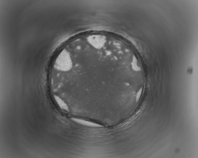 X0000116861263201001191654