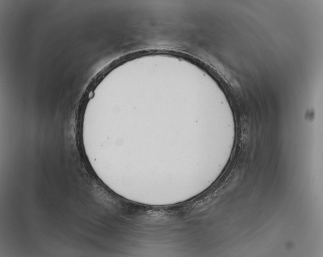 X0000116861264201001191654